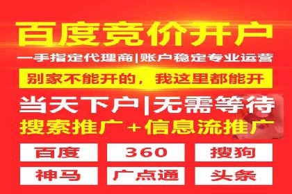 深入解析sem代运营推广公司的成功策略及效果